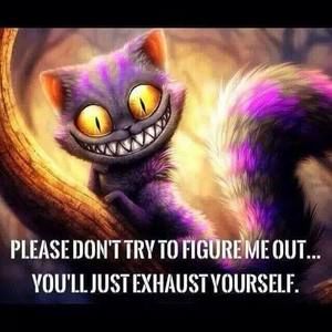 Meet your Posher, Frederick